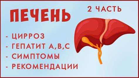 Гепатит цирроз печени диета Заболевания ПЕЧЕНИ: Гепатит А, В, С. Цирроз Печени. Паразиты в печени Заболевания ПЕЧЕНИ: Гепатит А, В, С. Цирроз Печени. Паразиты в печени Гепатит цирроз печени диета