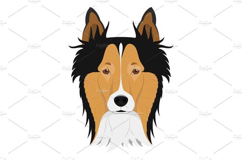 Collie Dog Vector Illustration Custom Designed Illustrations