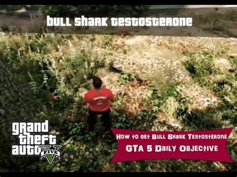 It is seen to have long term side effects on brucie causing him to go insane. How to get Bull Shark Testosterone. GTA 5 Daily Objective ...