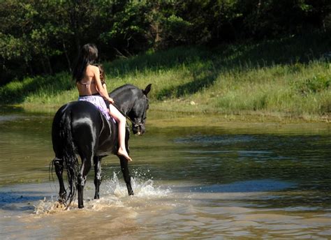 Premium Photo Horseback Riding In A River