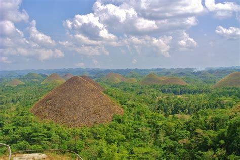Things To Do In Bohol Visit The World Famous Chocolate Hills Pinay