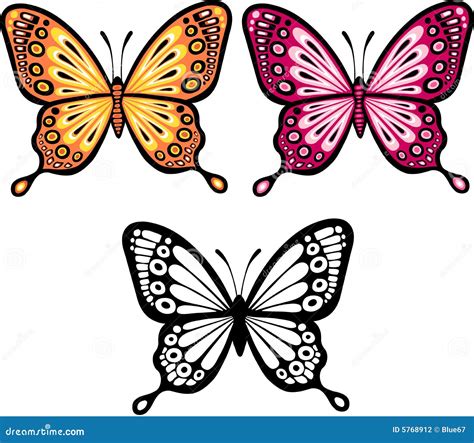 Butterfly Vector Illustration Black White 255513345