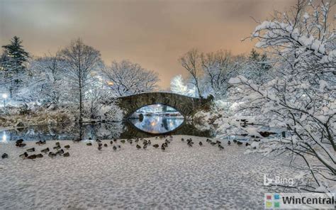 This Official Bing In Winter Wallpaper Collection Is Just Awesome
