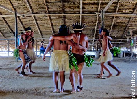 dança do inicio do mundo manaus floresta amazônica a… flickr