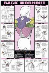 Workout Routine Back Pictures