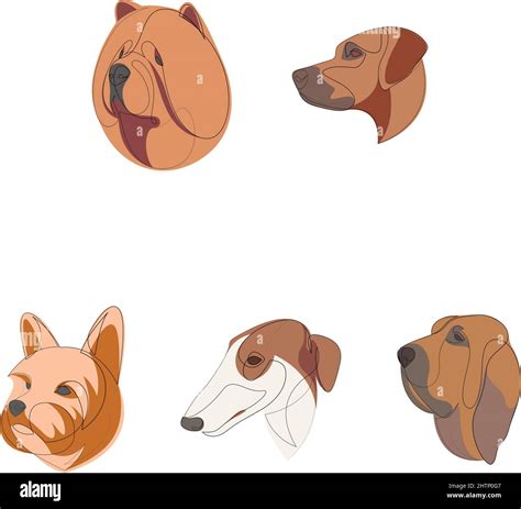 Breeds Of Dogs Drawn In Minimal Style Set One Line Dogs Vector