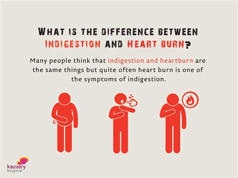 What Is The Difference Between Indigestion And Heart Burn Kauvery