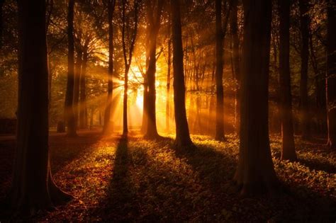 Dramatic Light In Nature Photo Contest Winners