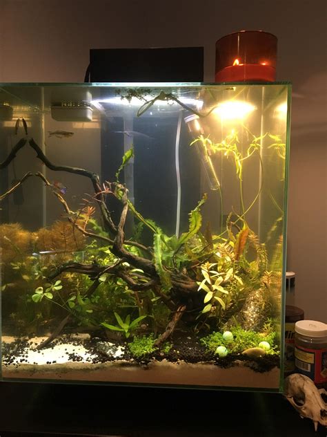 In a perfect world you would want grow spectrum leds. So this is my 4th water change toward the end of the week ...
