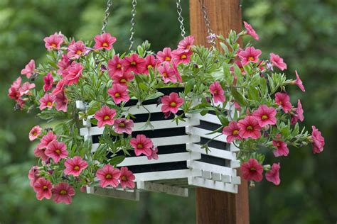 Check spelling or type a new query. How to Care for Hanging Plants