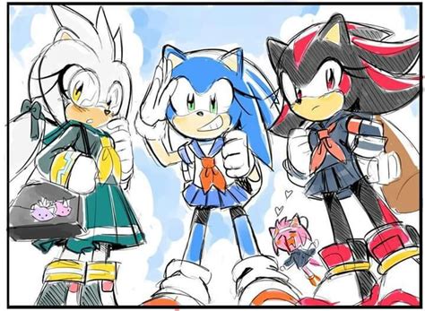 Sonic Rule 63 Sonic The Hedgehog Amino