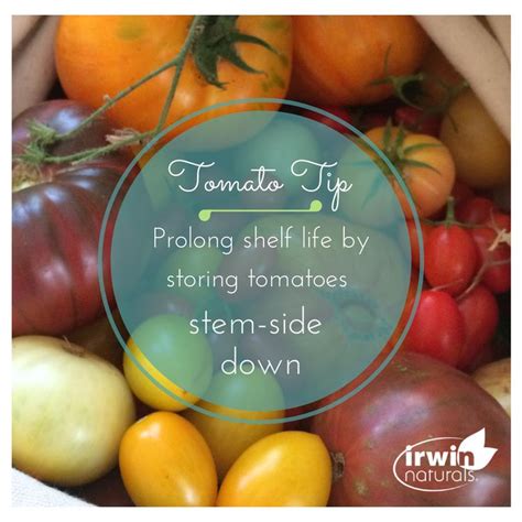 Keep Tomatoes Fresh Longer By Storing Them Upside Down How To Store