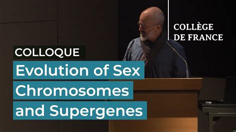 Evolution Of Sex Chromosomes And Supergenes 21 Tatiana Giraud 2021 2022 Youtube