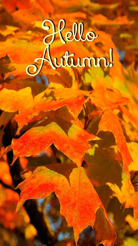 Hello Autumn Wallpapers Top Free Hello Autumn Backgrounds