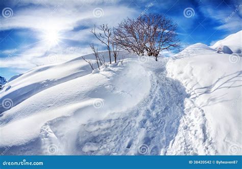 Winter Mountain Scenery Stock Photography Image 38420542