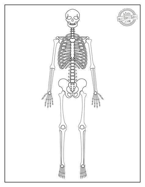 Best Free Skeleton Coloring Pages Kids Activities Blog