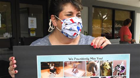 Foster care florida brevard county. Coronavirus Brevard: 20 new cases, 565 COVID-19 cases ...