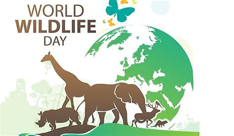 What And When Is World Wildlife Day Worldatlas