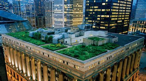 Find inspiration for turning a rooftop into a functional rooftop photography as fine art. Designs Done Well: Chicago's City Hall Rooftop Garden