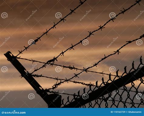 Barbed Wire Fence Against Of Evening Sky Stock Image Image Of Outdoor