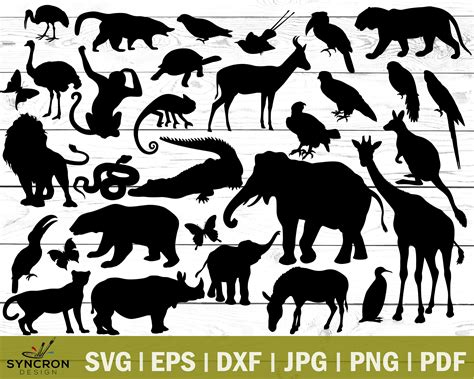 Zoo Animals Collection Bundle Zoo Animals Clipart Zoo Svg Etsy