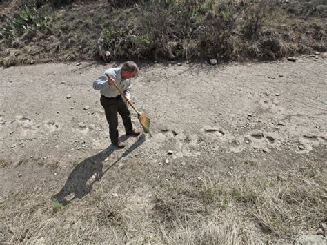 These videos have been shared by members of the singletracks community. Reasons to Love San Angelo: Prehistoric tracks