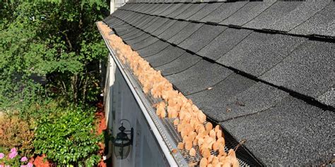 Gutter Covers Comparison Guide Gutter Cap Vs Gutter Covers Gutter Cap