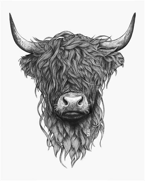 Highland Cow Printables