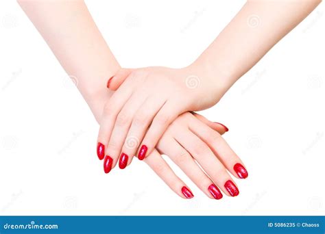 Elegant Woman Hands Stock Image Image Of Young Female 5086235