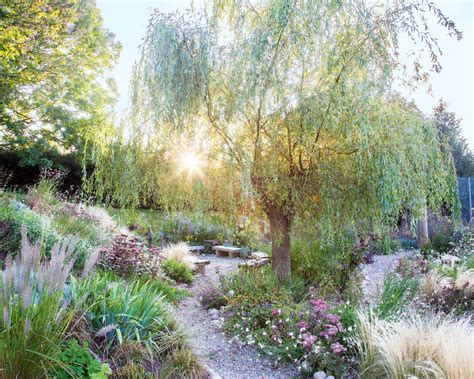 How To Create A Mediterranean Garden Design Inspiration Homes Gardens