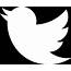 500  Twitter LOGO Latest Logo Icon GIF Transparent PNG