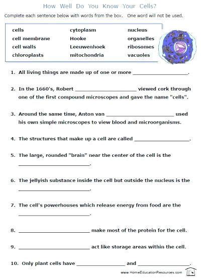 Science Worksheet For Grade 8