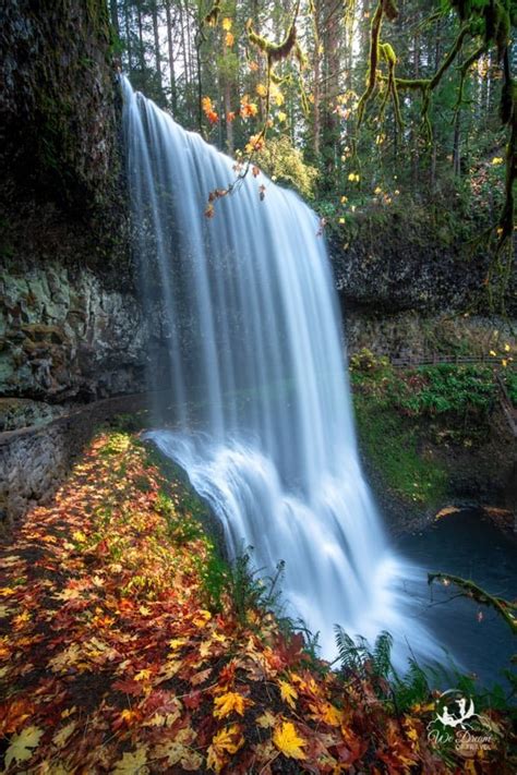 2023 Guide Lower South Falls Or Silver Falls State Park ⋆ We Dream