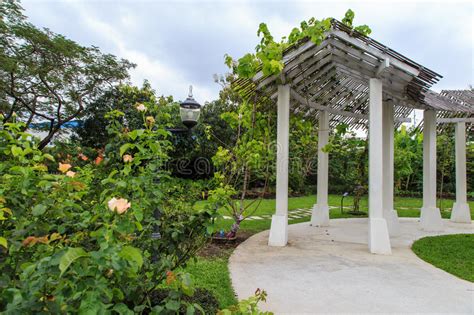 Walkway View Botanical Garden Queen Sirikit Park Stock Photo Image