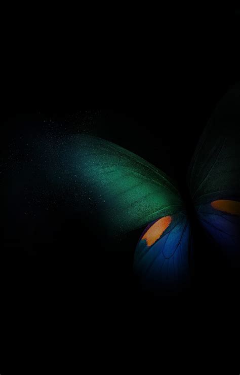 Samsung Galaxy Fold Butterfly Green Blue Black Hd Phone Wallpaper