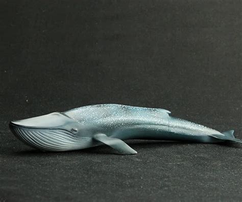 Simulation Animals Sea Life Blue Whale Mold Whale Action Figures Model