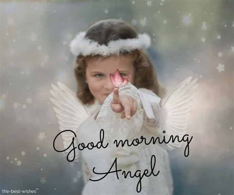120 Best Good Morning Angel Images Good Morning Angel Good Morning