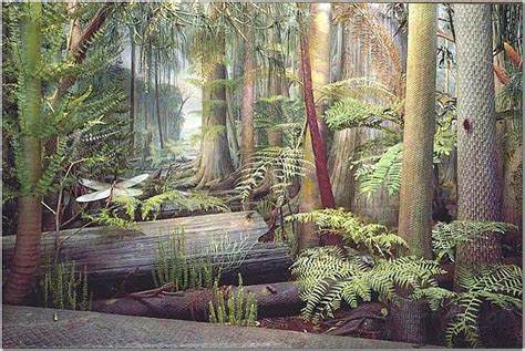 Worlds Oldest Rainforest Prehistoric World Ancient Animals Rainforest