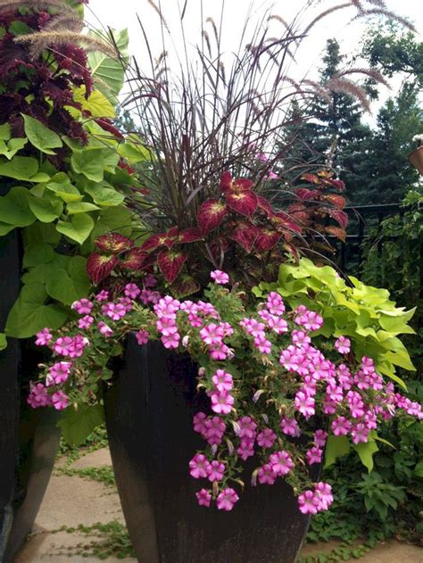 Brilliant 25 Gorgeous Full Sun Container Plants Ideas To Make Up Your