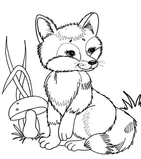 Forest Animal Coloring Pages For Preschoolers