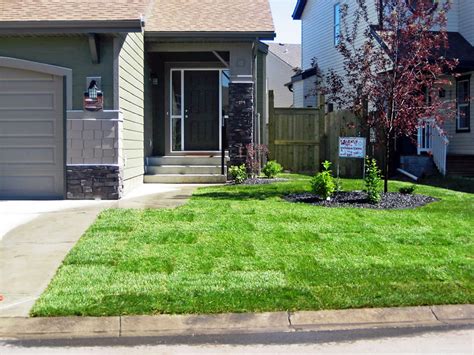 If you know synonyms for front yard, then you can share it or put your rating in listed similar words. Here is My Collection: Pictures of landscaping rock beds