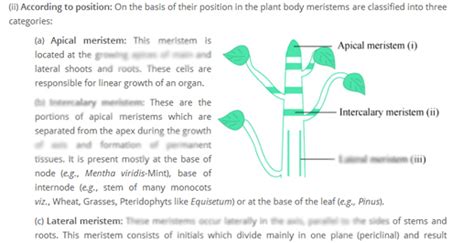 Buy Anatomy Of Flowering Plants Study Material Biology