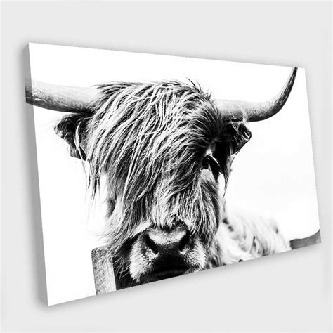 Highland Cow Canvas Art Highland Cow Print Highland Cow Canvas Etsy