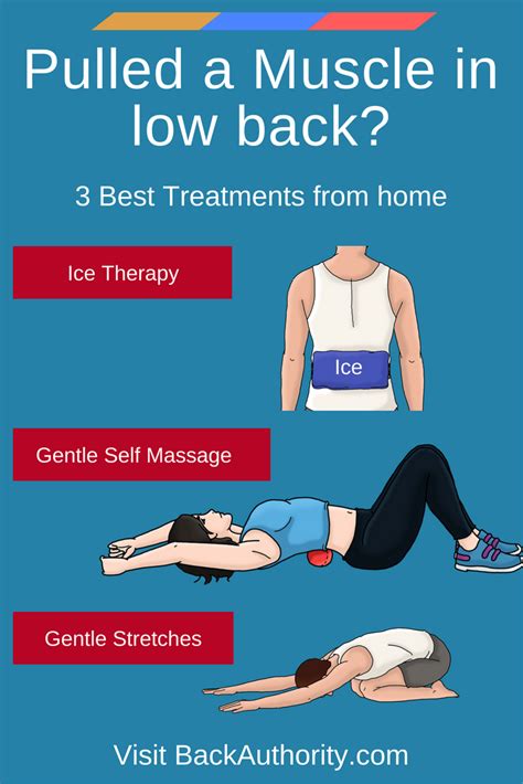 Pulled Muscle In Lower Back Best Treatments And Exercsies Pulled