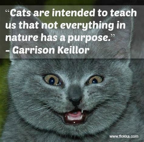 33 Of The Funniest Quotes About Cats