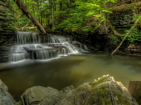 Finger Lakes Land Trust