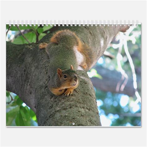 Squirrel Calendars Squirrel Calendar Designs Templates For 2017 2018