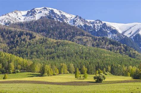 Beautiful Bright Landscape Summer Greens And Snow On Mountain Tops