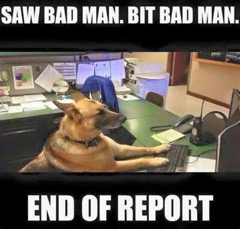 Dogs At Work Memes Fridayfrivolity Munofore