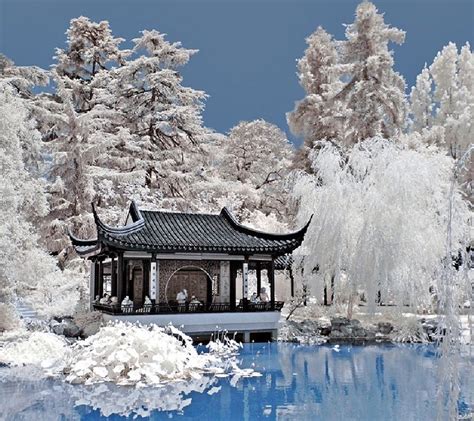 A Chinese Winter Gardenthis Is So Beautifulreminds Me Of Where I